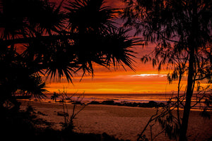 Shelly Beach, Port Macquarie NSW