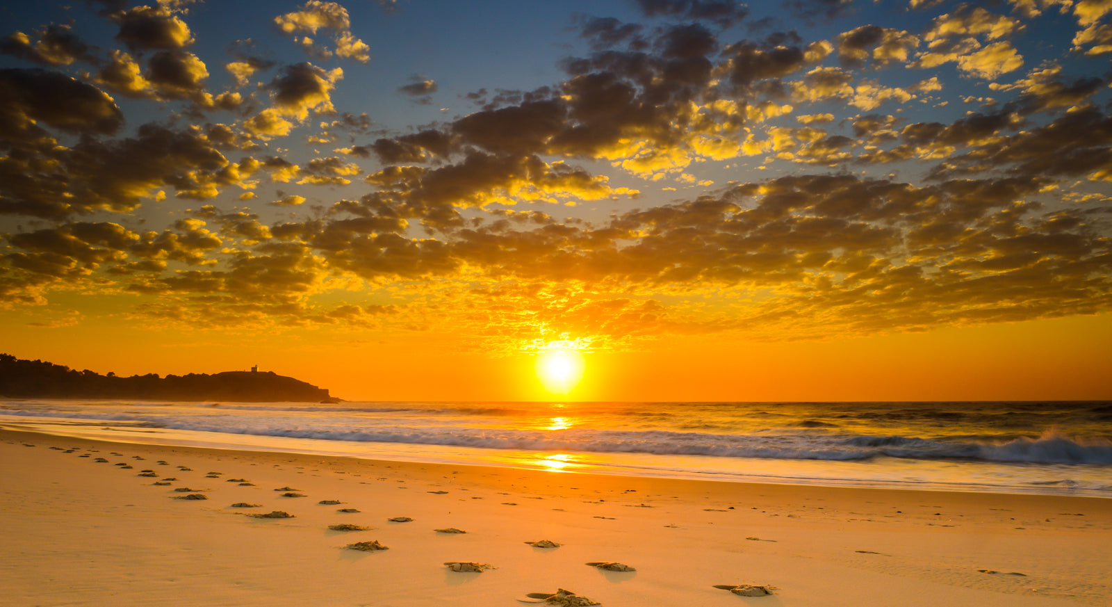 1045 Lighthouse Beach