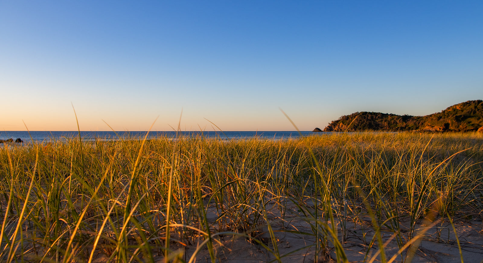 1178 Shelly-Miners Beach