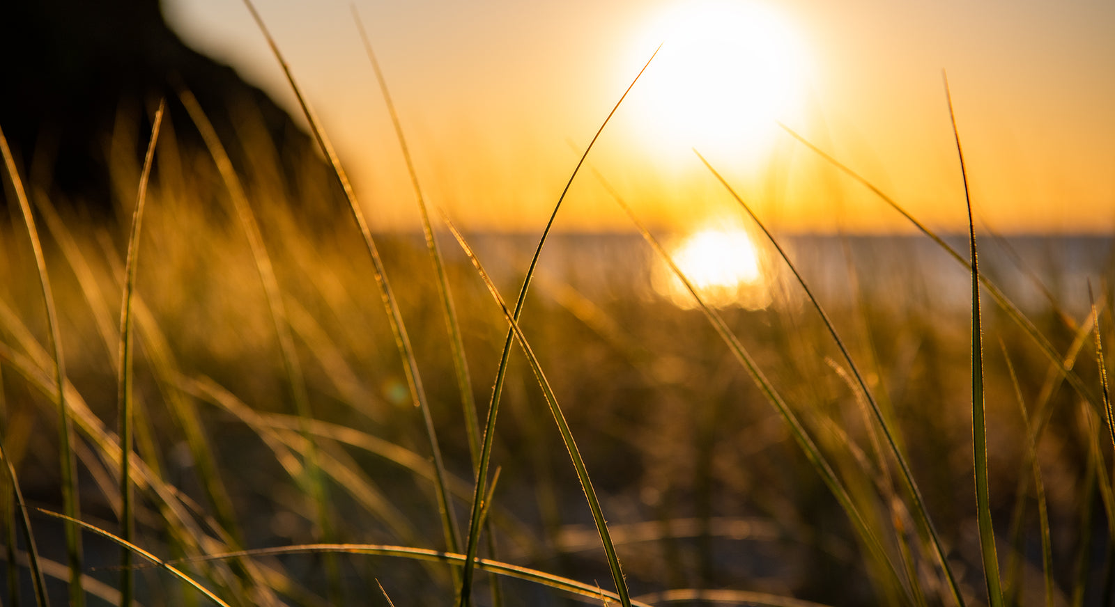 1179 Shelly-Miners Beach