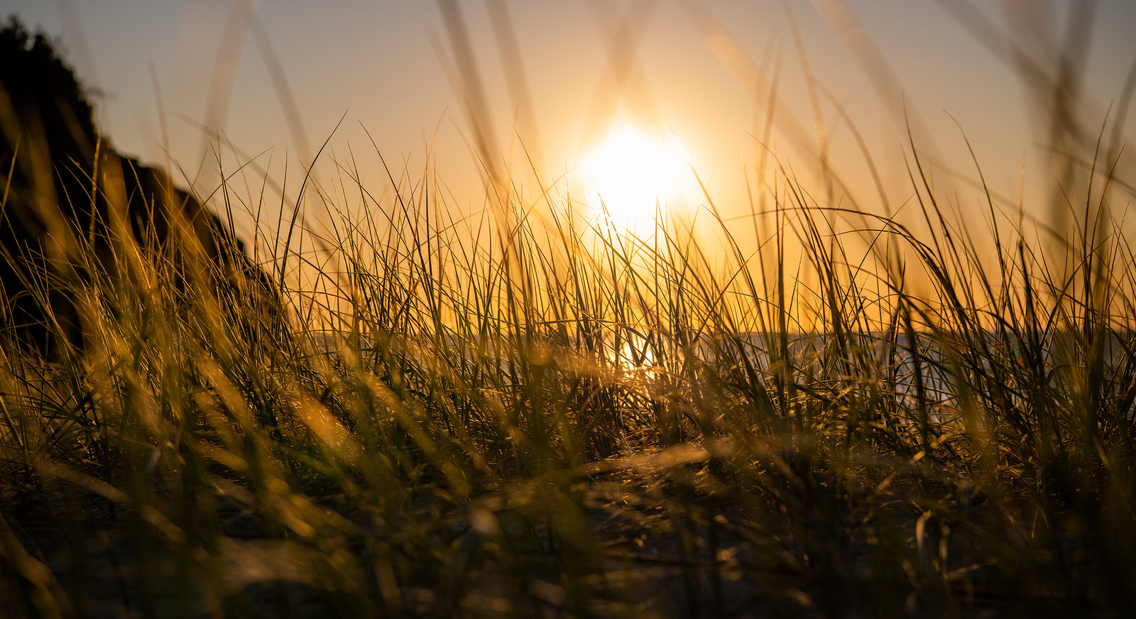 1180 Shelly-Miners Beach