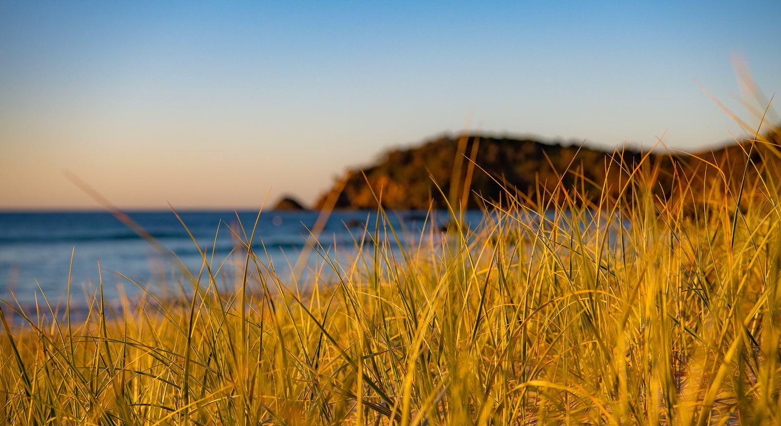 1181 Shelly-Miners Beach