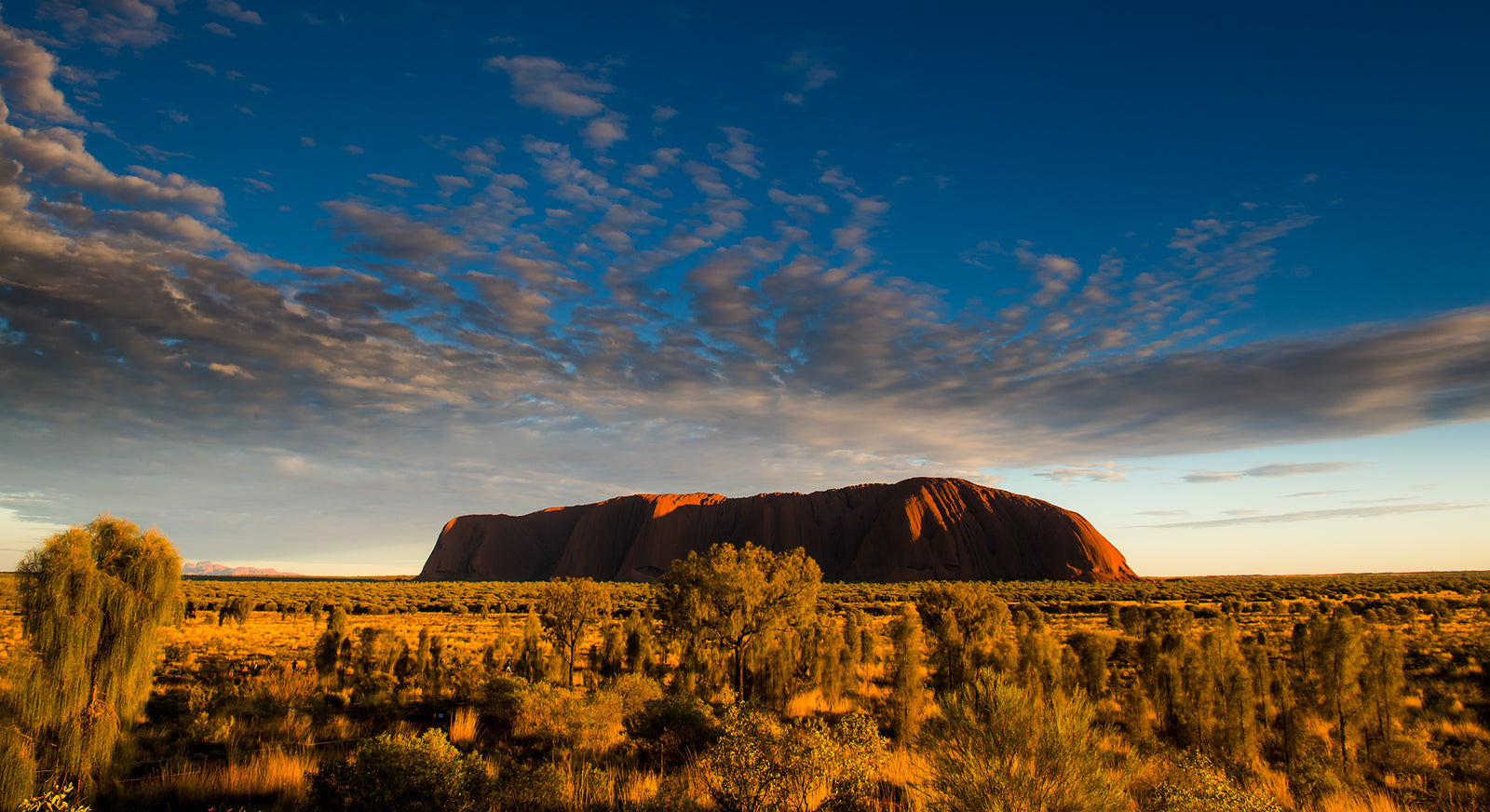 1342 Uluru-Kata Tjuta National Park. Sunrise.