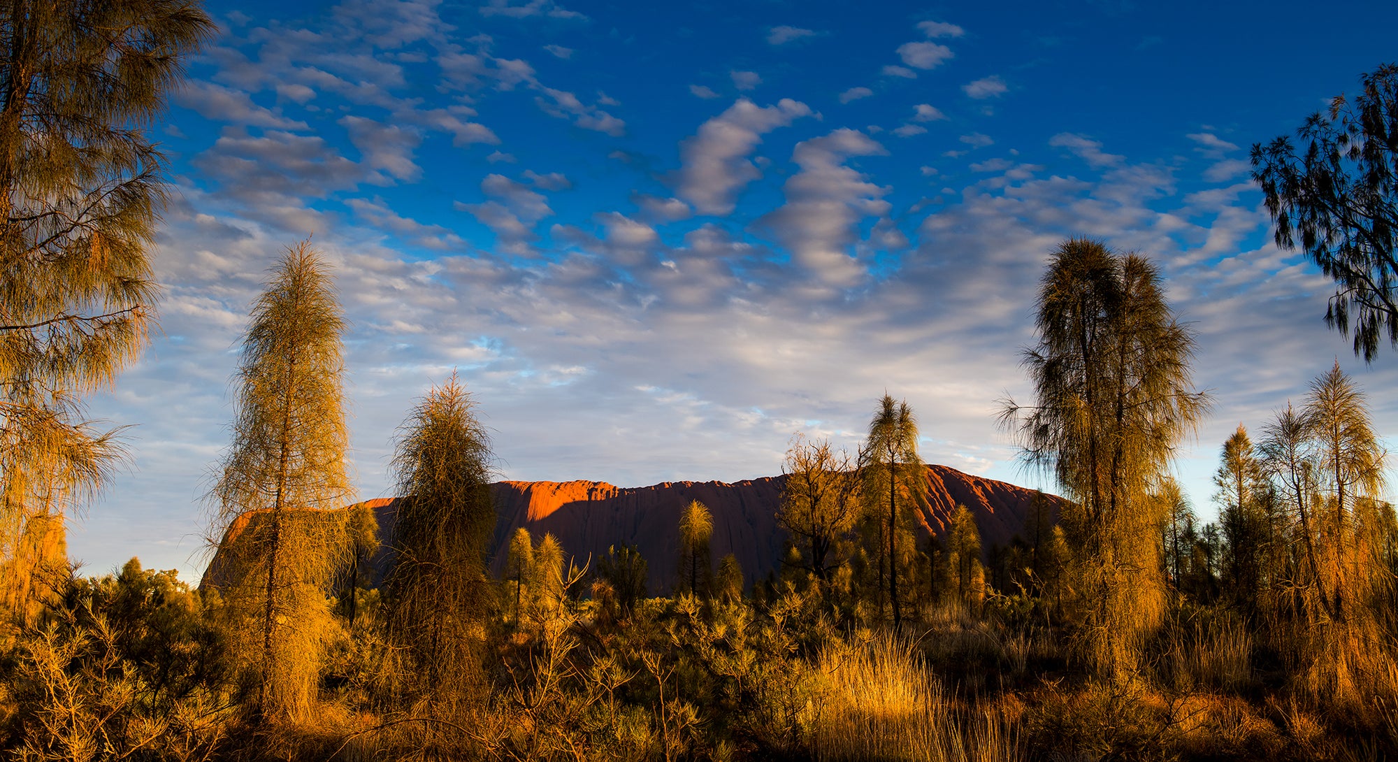 1343 Uluru-Kata Tjuta National Park. Sunrise.