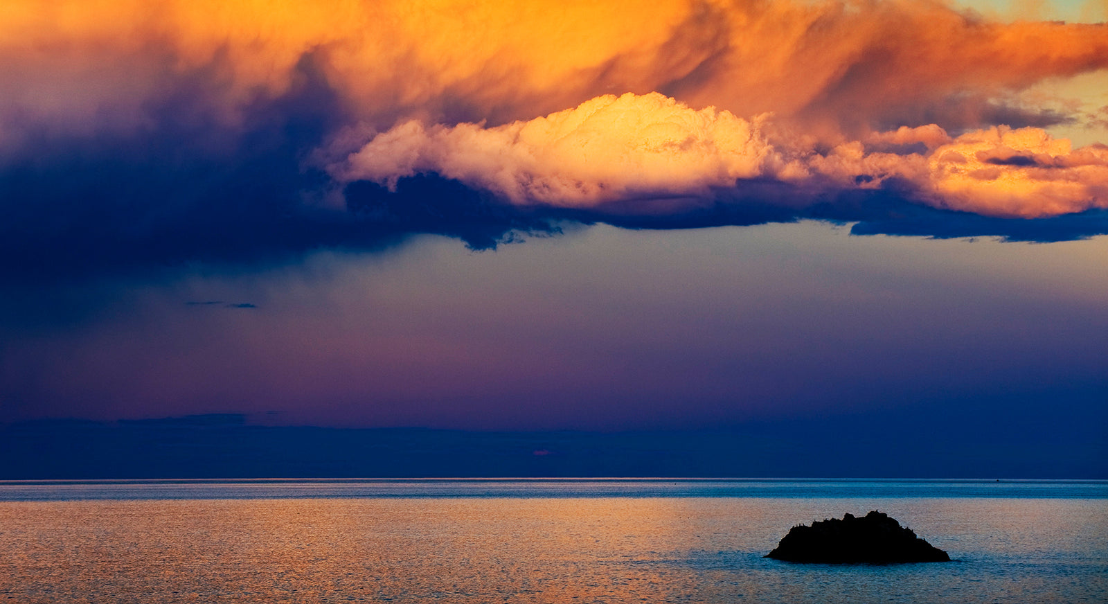1365 Oxley Beach - Bird Rock