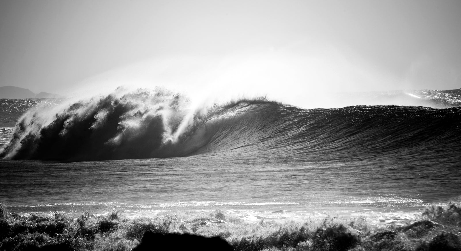 1383 Town Beach - Middles