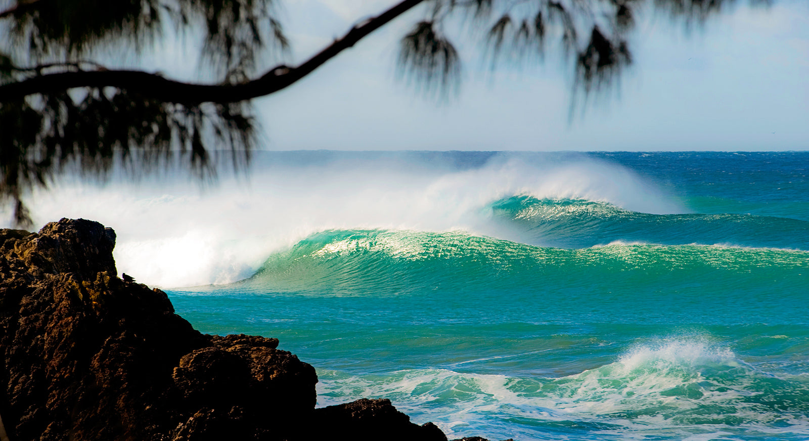 1385 Town Beach - Middles