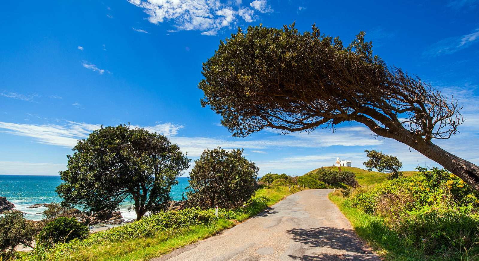 1401 Tacking Point Lighthouse -  Lighthouse Beach