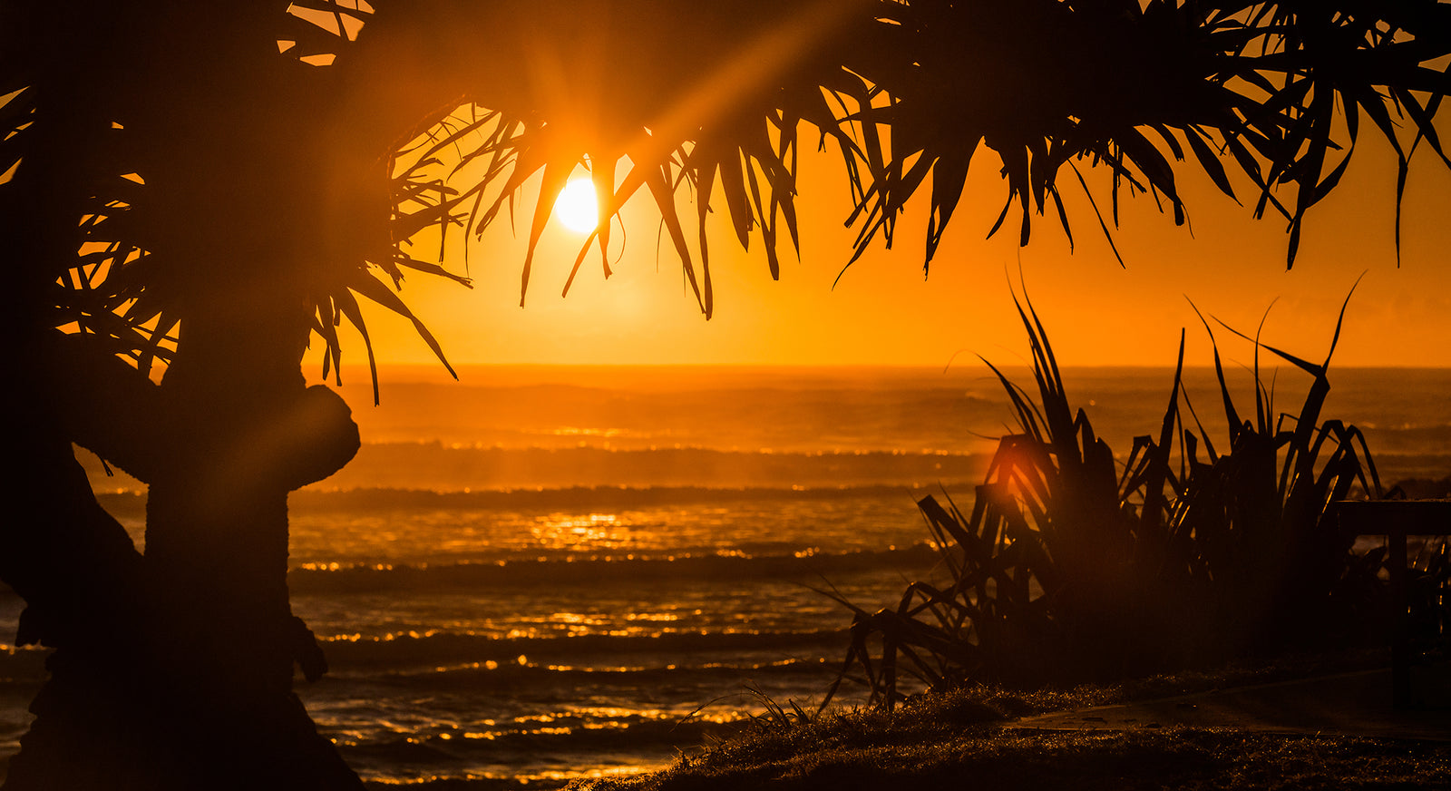 1433 Crescent Head, NSW