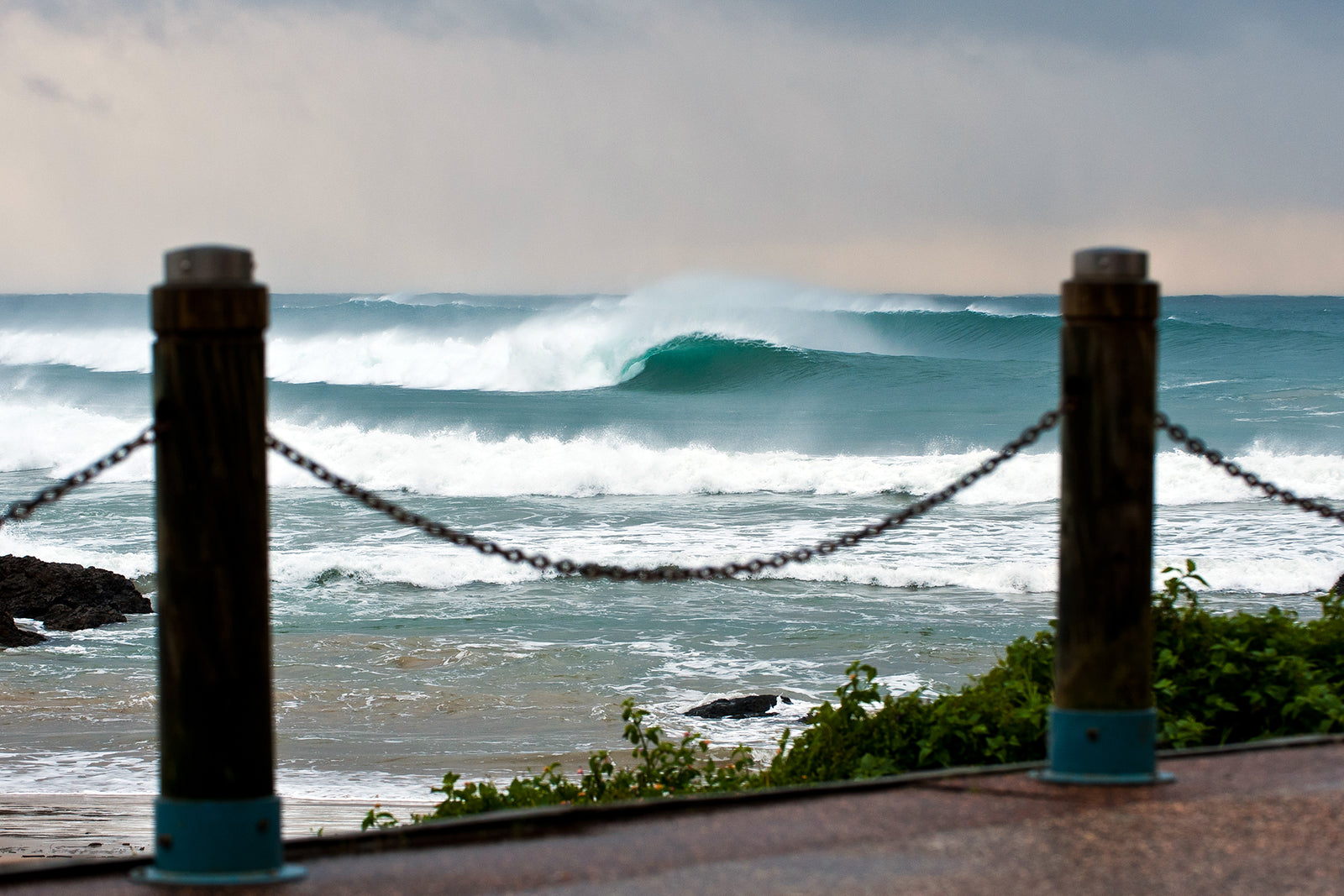 1443 Town Beach - Middles