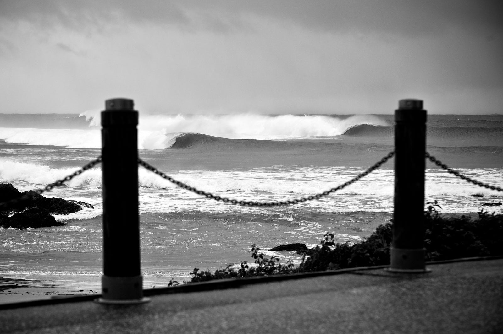 1444 Town Beach - Middles