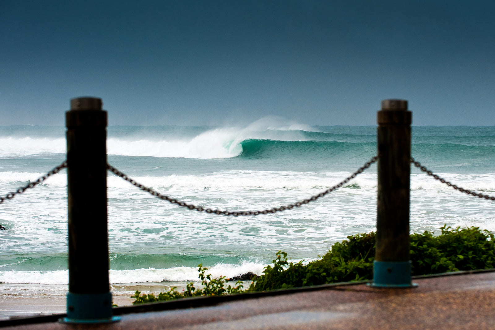 1446 Town Beach - Middles