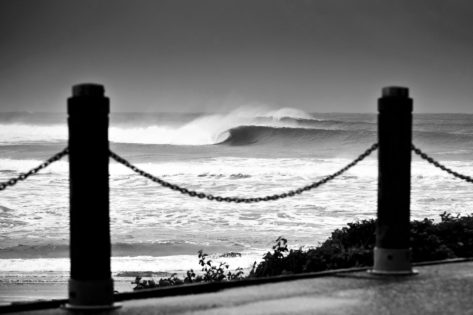 1447 Town Beach - Middles