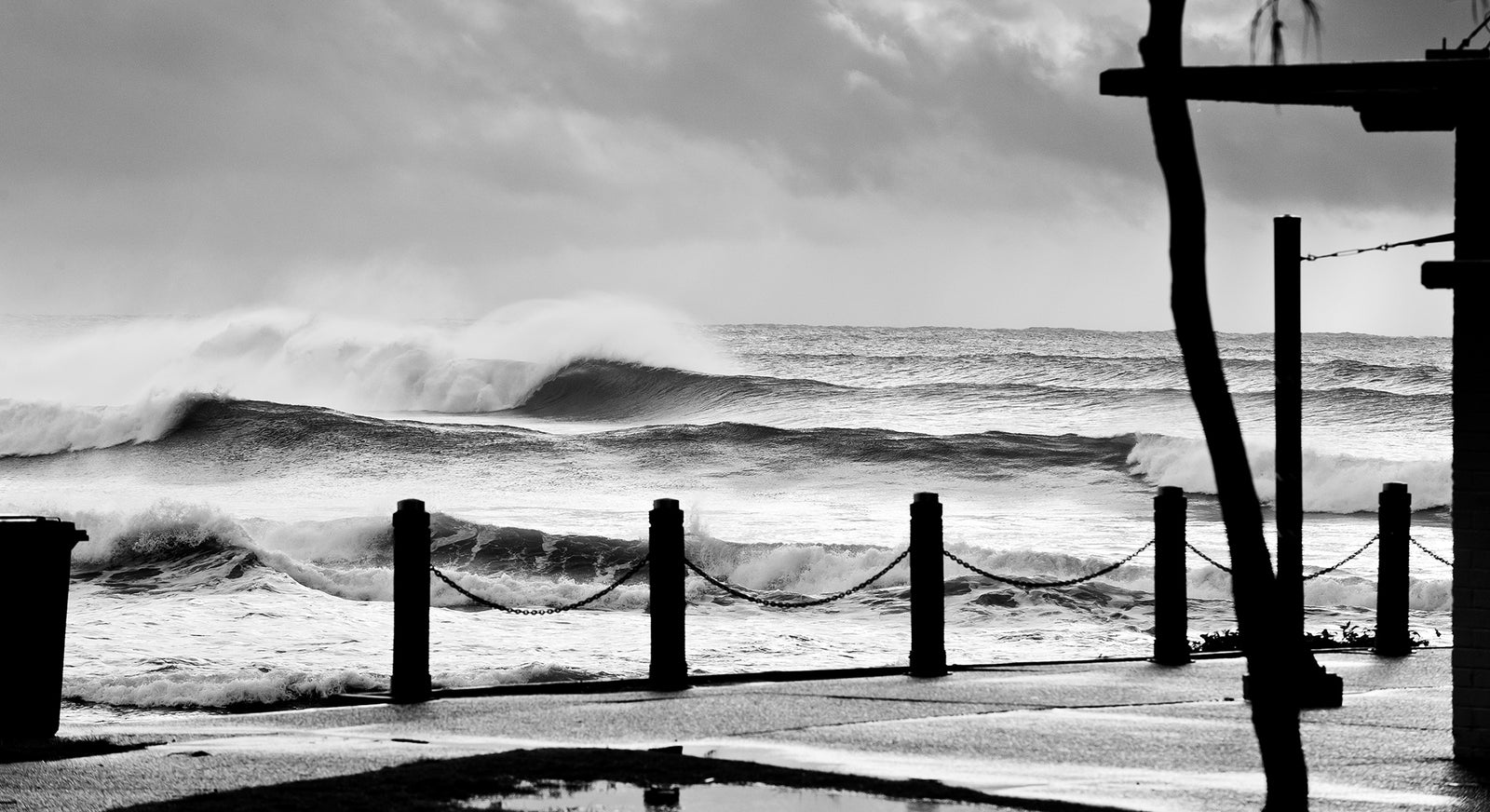 1449 Town Beach - Middles