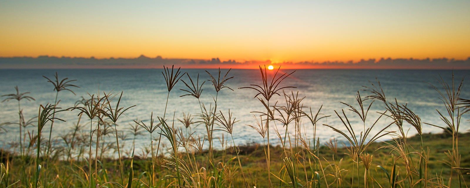 1473 Point Plomer, NSW