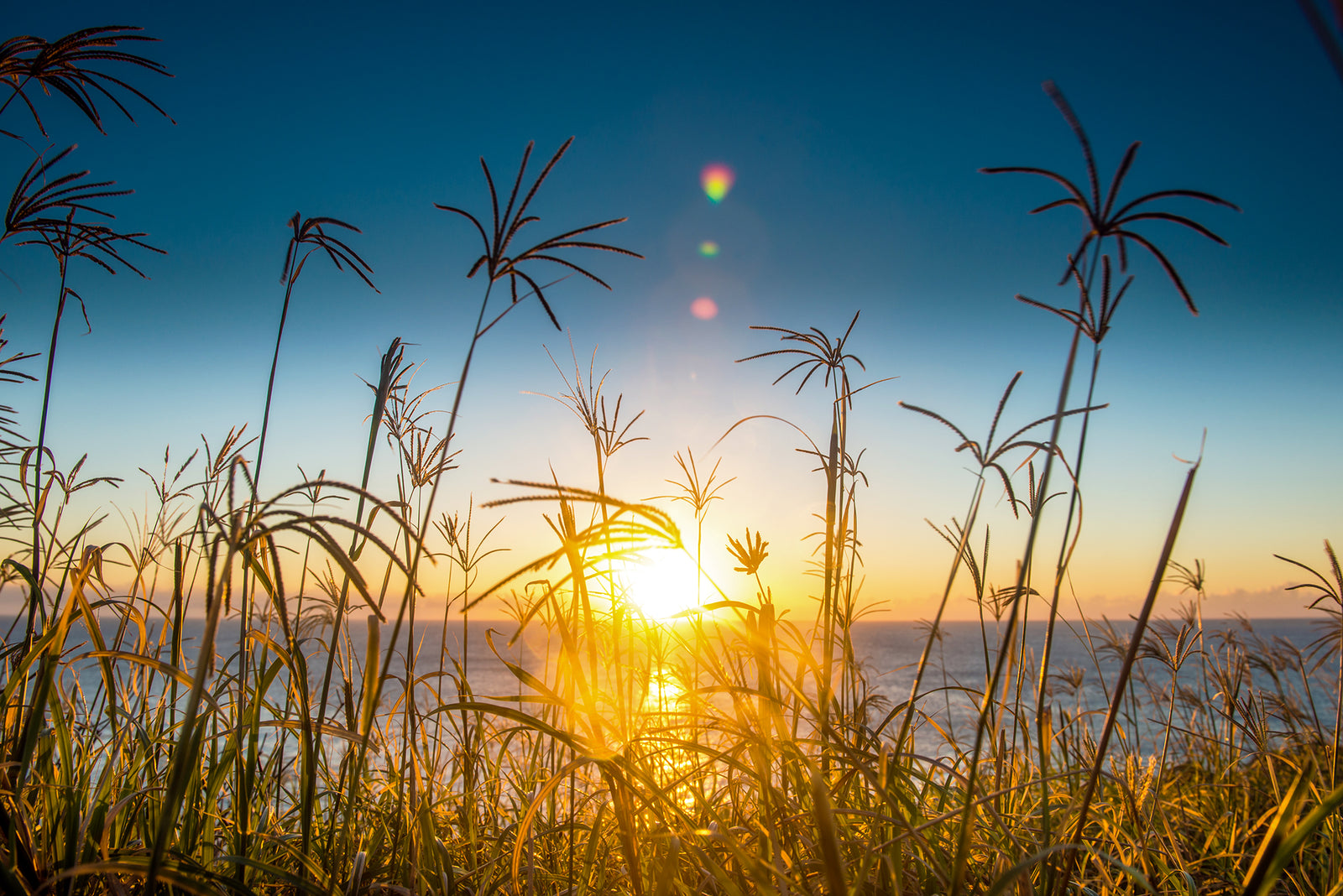 1477 Point Plomer, NSW