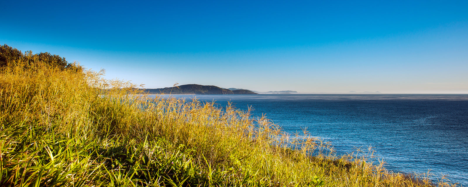 1480 Point Plomer, NSW