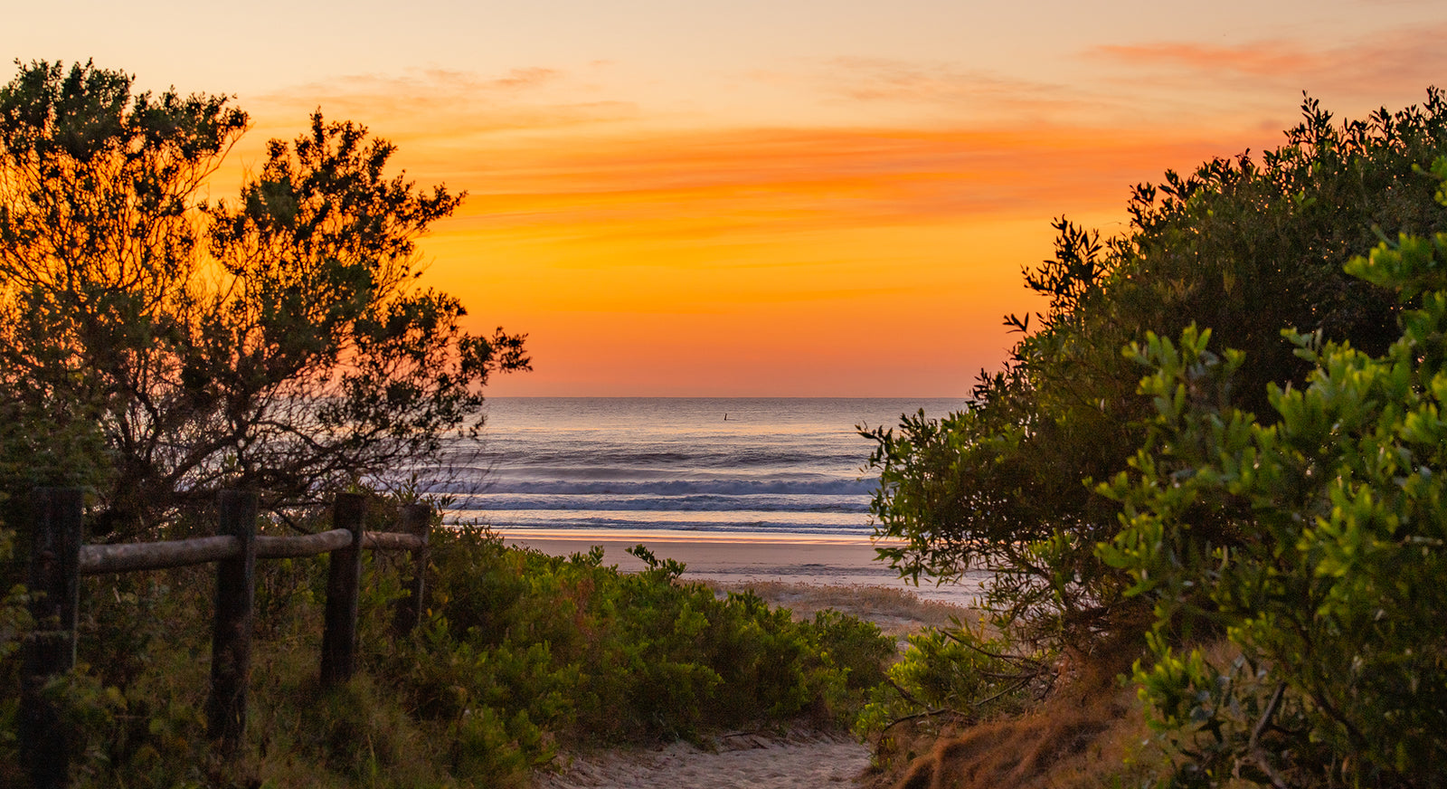 1604 Lighthouse Beach